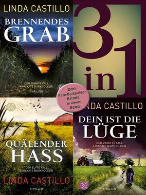 cover image of Brennendes Grab / Quälender Hass / Dein ist die Lüge